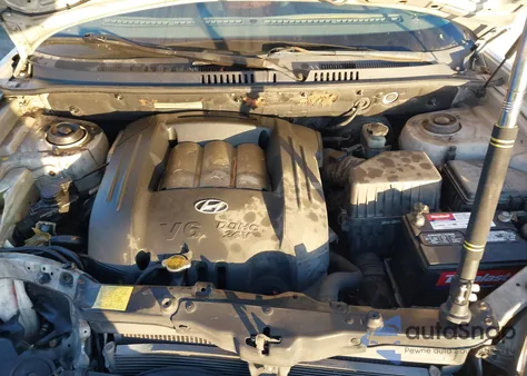 2004 Hyundai Santa Fe Gls из США, поврежденный, VIN KM8SC13D24U655646